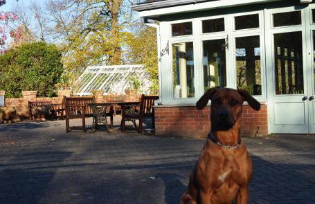 Finlaystone Barns - Foto 12