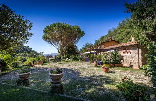 Podere Casalino - Foto 33