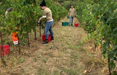 Agriturismo La Posta Reale - Foto 107