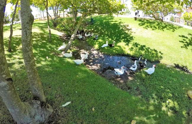 Duplex with Hot Tub near Beach by DM Apartments. - Photo 36