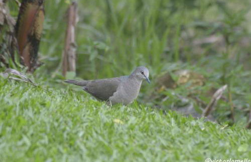 A Casinha Lumiar - Foto 49