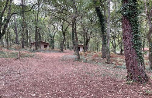 CAP VILLAGE - Foto 7