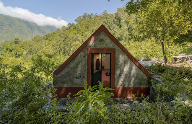 In Laurissilva Forest, Casa do Lanço -carvalho - Foto 57