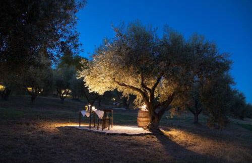 Terra di Gradara - Foto 132