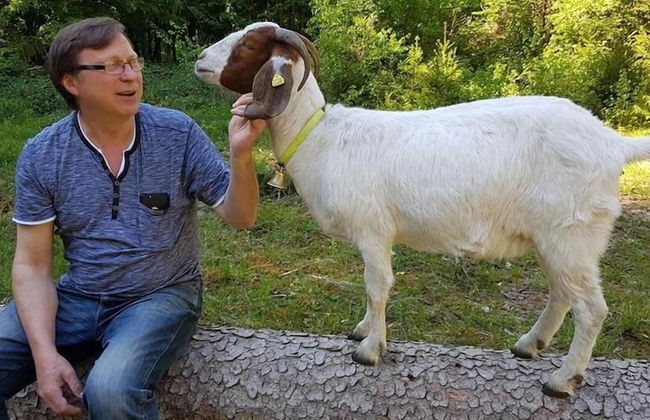 Ferienwohnungen Linkemühle - Foto 34