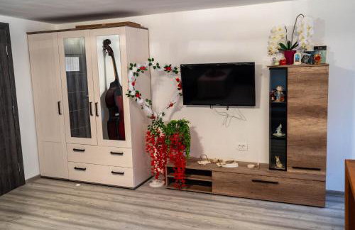 OPG Lukaček - Rooms & Apartment - Photo 13