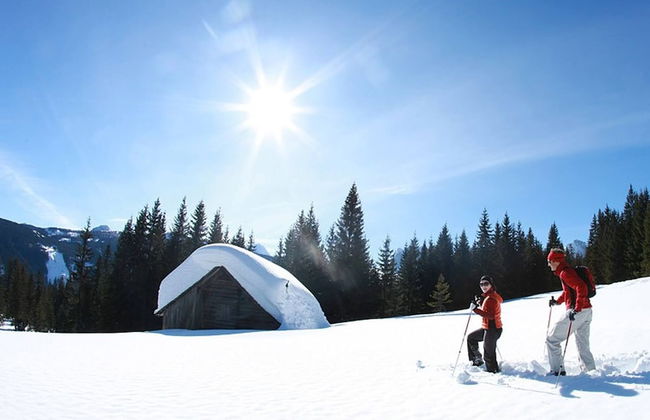 Comfort Apartment Goisernperle - Near Hallstatt - Foto 47