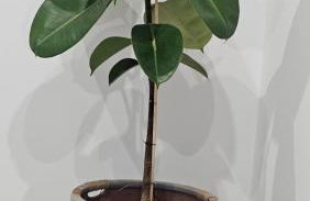 Grace and Harmony of Ancient Corinth - Foto 21