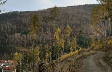 Haus Riesebeek - Foto 17