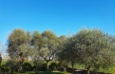 Il Camino Rosso - Photo 26