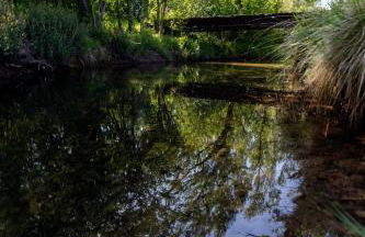 Masía Casa Rullo - Foto 57