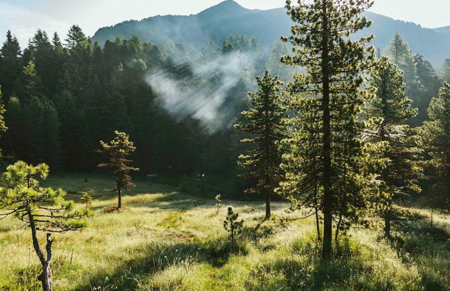 Chalet in Austria Near Ski Slope & Sauna - Foto 30