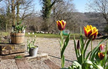 Charming Barn Conversion - Idyllic Rural Retreat- Pet Friendly - Foto 40