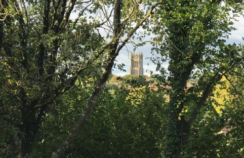 Hollybush Lodges - Foto 40