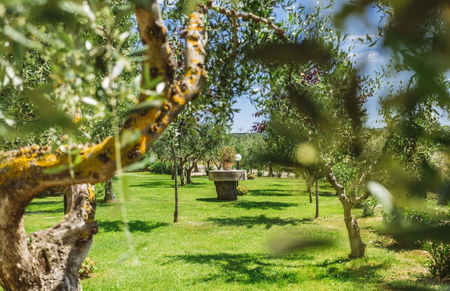 Ormanni nel Chianti Classico - Foto 59