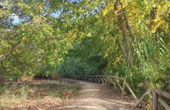 Mi casica de Bogarra - Foto 20