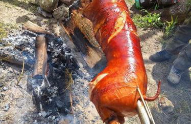 Weich wie Samt am Bodensee - Foto 23