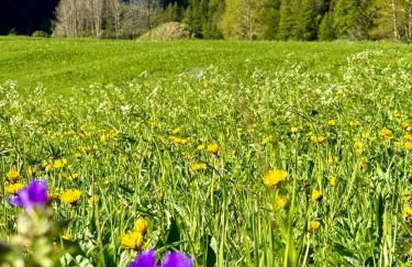 Residence Au Vieux Grenier - Photo 7