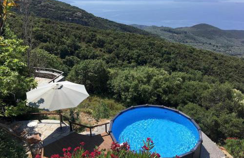 Pelion Homes - Foto 9