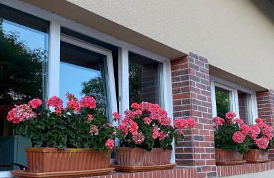 Gîte Gold au Domaine de Saint Vigor - Photo 6