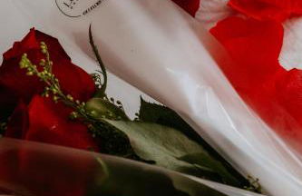 Jacuzzi Privativa e Vista Mar - Apto Tartaruga - Foto 29