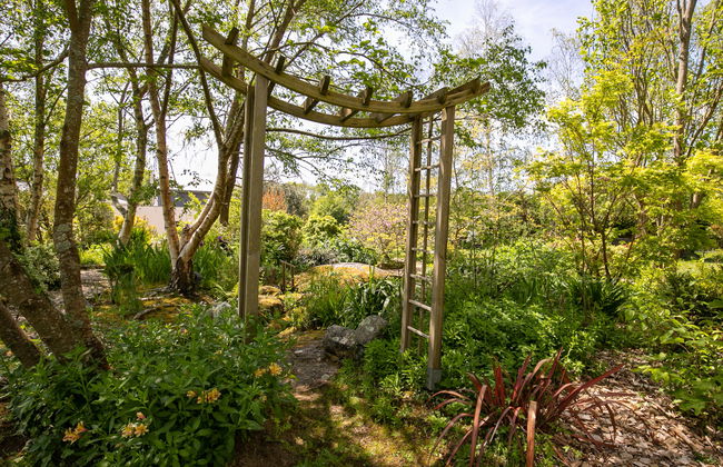 La Lauremma - Foto 29