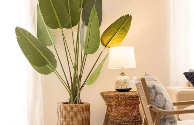 Discover Luxury Beach in Reunion - Foto 6