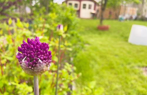 Ferienhaus Herger - Foto 1