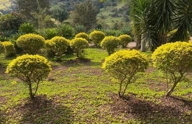 RECANTO FLORES DA MONTANHA- via fácil ASFALTO, VISTA das Montanhas - Foto 14