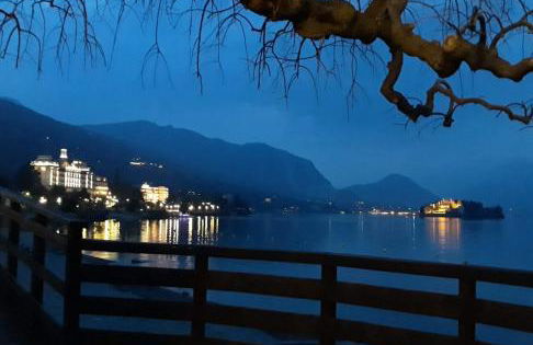 I tulipani - Foto 41