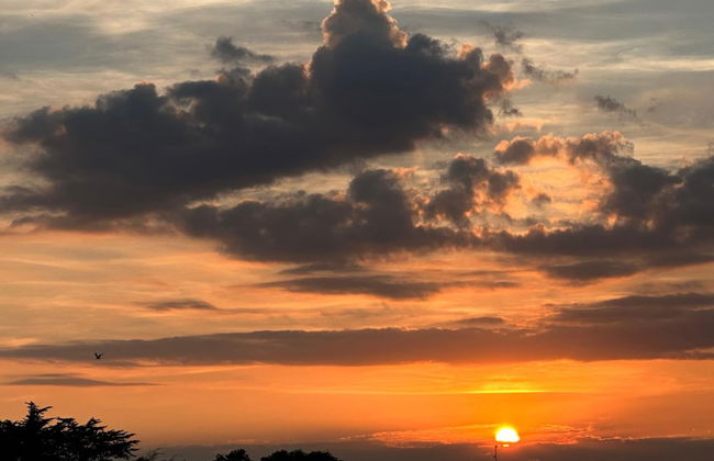 3 Bed Luxury Mobile Home Hoburne Park Christchurch - Foto 17