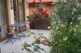 Willa Matylda Karpacz - Foto 25