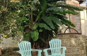 Il Giardino di Claudia Cardamomo - Foto 6