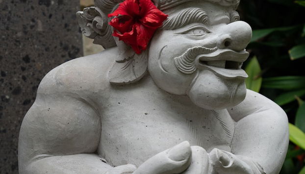 Entrada (vista interior)