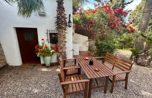 La Washingtonia - Foto 22