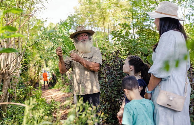 High Valley Dawn Permaculture Farm - Foto 11
