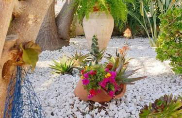 Il Canneto di Selinunte - Foto 66