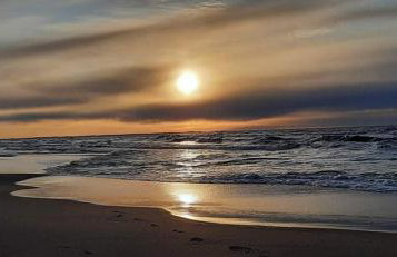 Orzechowy Dworek - Foto 44