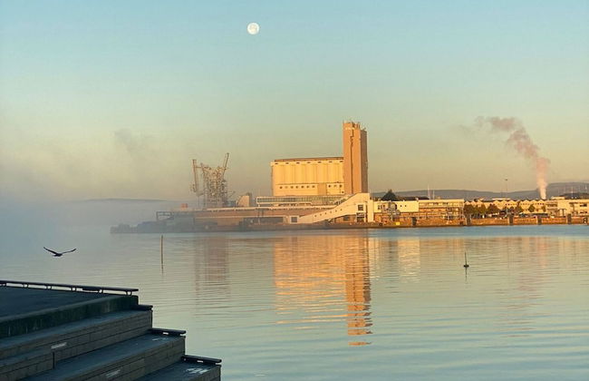 Stylish Seaview 4 Beds Central Apartment Sorenga - Photo 49