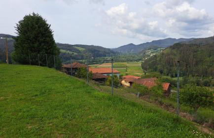 La Casita de Tití - Photo 23