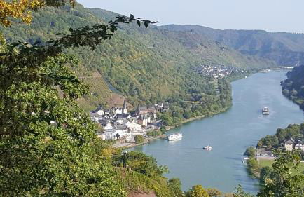 Ferienwohnung Sternenwald - Foto 34