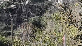 Le domaine du Moulin de Cors - Photo 5