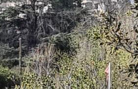 Le domaine du Moulin de Cors - Foto 5