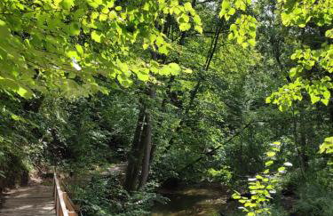 Apartament Zamkowe Wzgórze - Foto 55