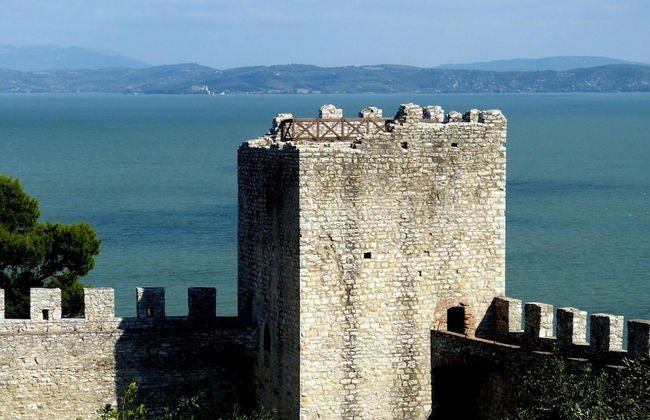 Pomegranate apt With Shared Pool - Photo 10