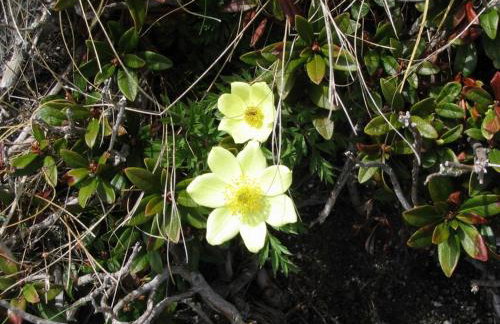 Baita Figliezzi - Foto 73