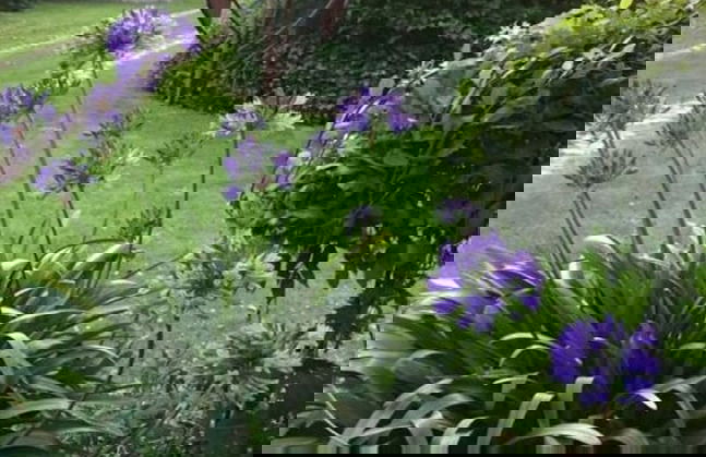 Holiday Home Grussow - Foto 16