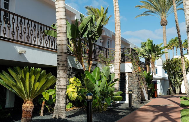 Plus Fariones Apartamentos - Photo 75