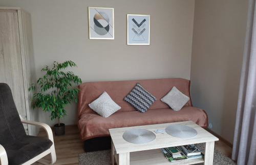 Apartamenty ,,Trzy Sosny'' Rymanów-Zdrój - Foto 52