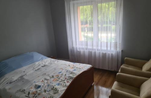 Apartament Mieszkanie do wynajęcia Olivka - Foto 5